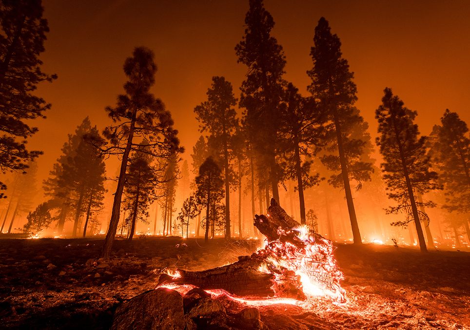 consecuencias del cambio climativo
