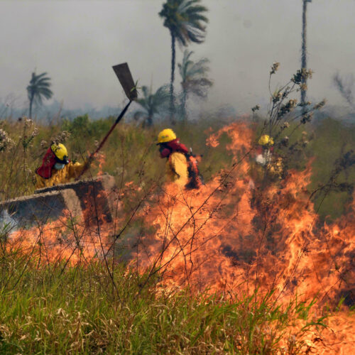 UN NUEVO AÑO DE INCENDIOS PARA BOLIVIA