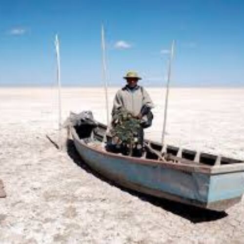 DE LAGO A DESIERTO