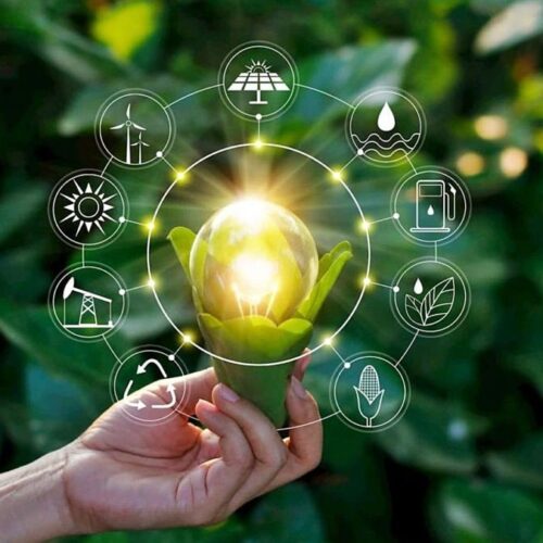 ALTERNATIVAS HACIA UNA ECONOMIA VERDE