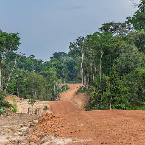 MEDIO AMBIENTE Y CARRETERAS