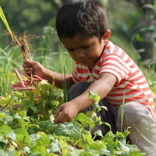 ¿POR QUÉ ES IMPORTANTE LA EDUCACIÓN AMBIENTAL PARA NIÑOS EN BOLIVIA?
