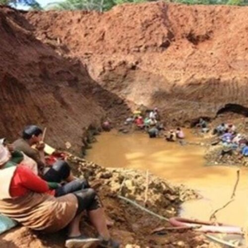 BIODIVERSIDAD BOLIVIANA Y LAS AMENAZAS QUE SUFRE POR LA MINERIA