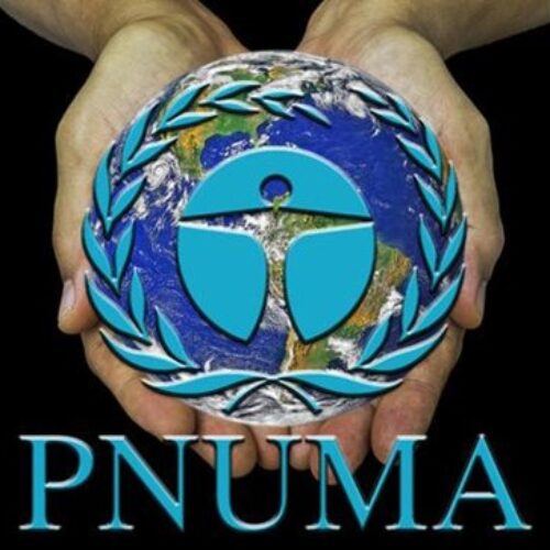 CREACIÓN DEL PROGRAMA DE LAS NACIONES UNIDAS PARA EL MEDIO AMBIENTE
