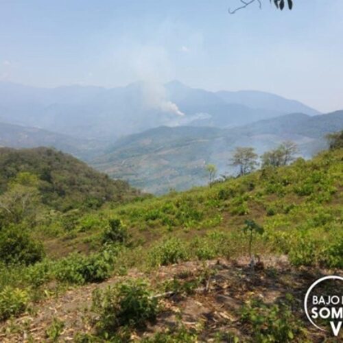 INCENDIOS Y LA CONTAMINACIÓN ATMOSFÉRICA EN LAS CIUDADES