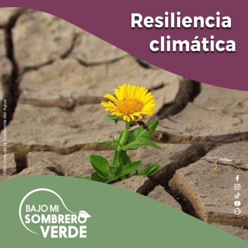RESILIENCIA CLIMÁTICA