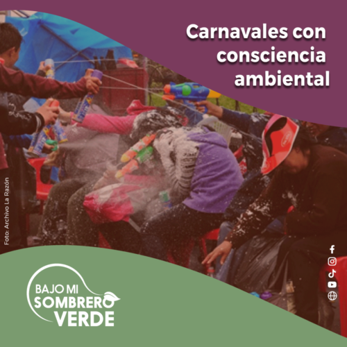 CARNAVALES CON CONSCIENCIA AMBIENTAL