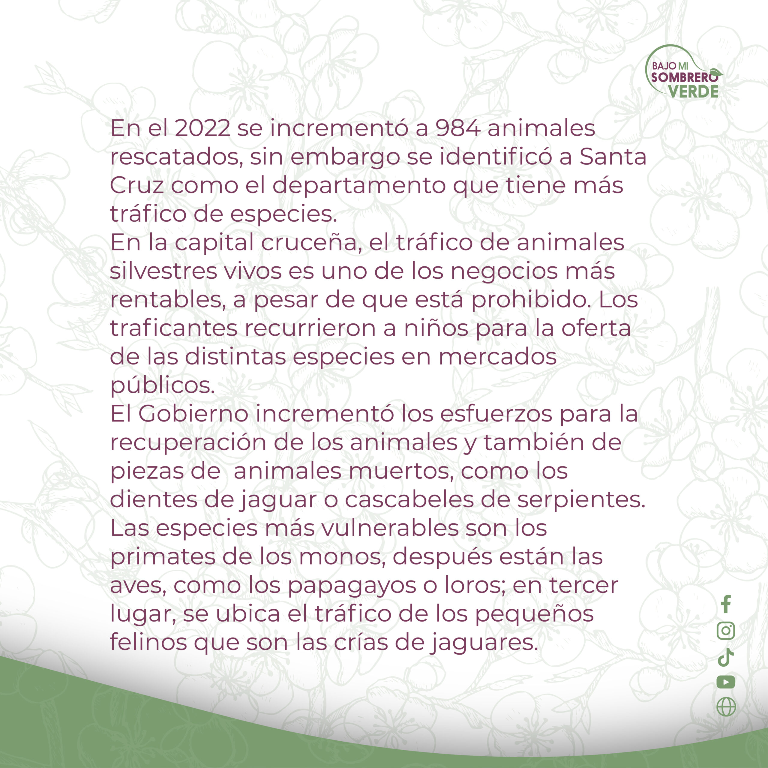 FEB-9-3 EN LOS ULTIMOS 3 AÑOS, EL RESCATE DE ANIMALES SILVESTRES SUBIO A 984