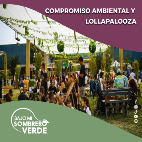 COMPROMISO AMBIENTAL Y LOLLAPALOOZA