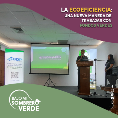 LA ECOEFICIENCIA: UNA NUEVA MANERA DE TRABAJAR CON FONDOS VERDES