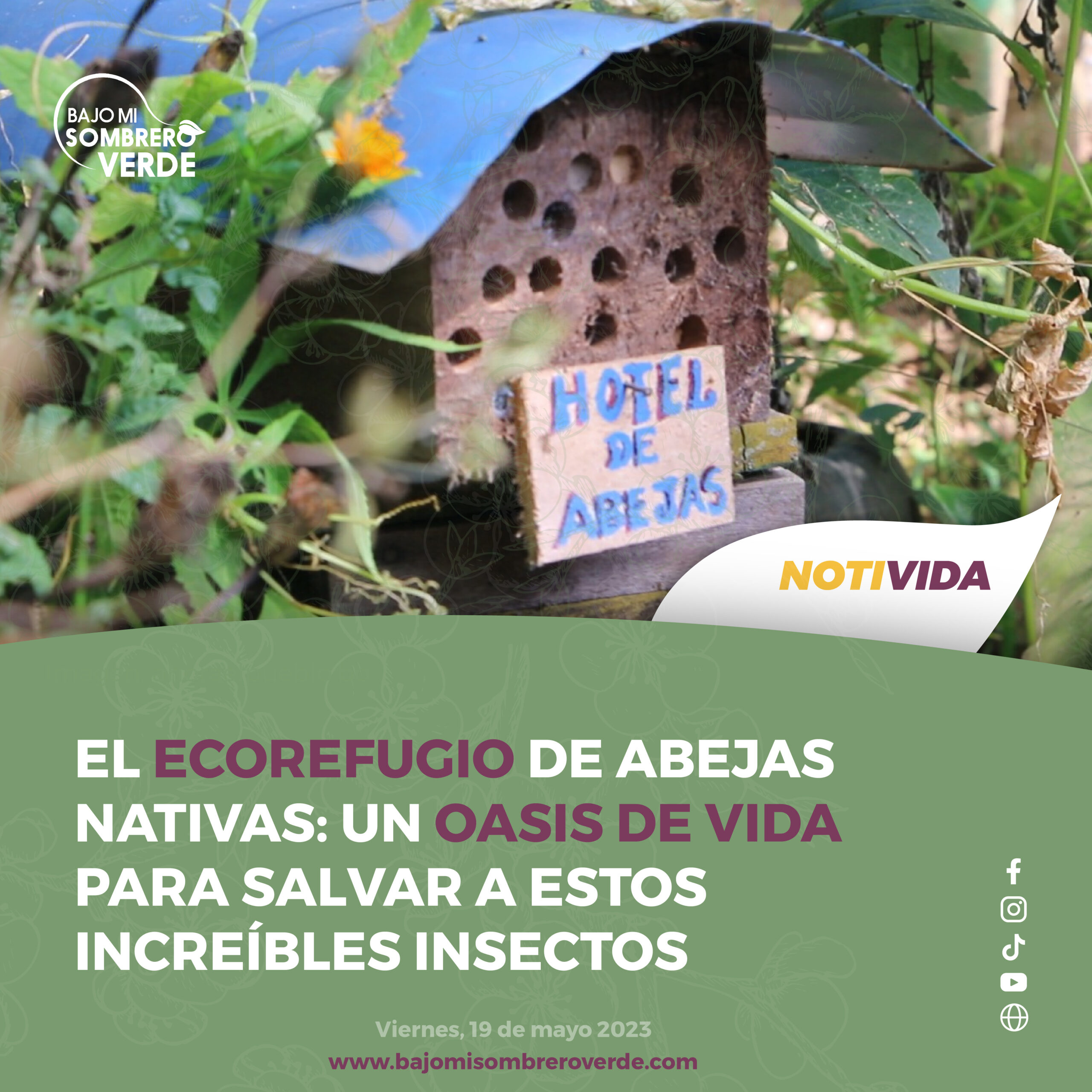 MAY-19-1 EL ECOREFUGIO DE ABEJAS NATIVAS, UN OASIS DE VIDA PARA SALVAR A ESTOS INCREIBLES INSECTOS