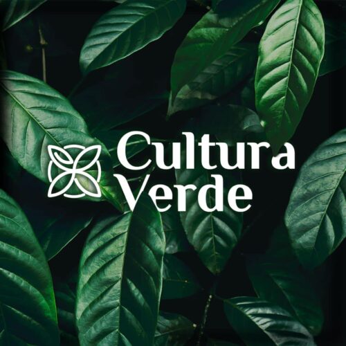 FESTIVAL CULTURA VERDE: UN ENCUENTRO DE CULTURA Y MEDIO AMBIENTE