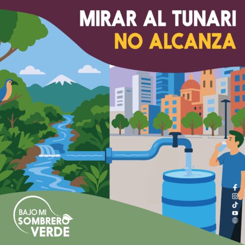 MIRAR AL TUNARI NO ALCANZA